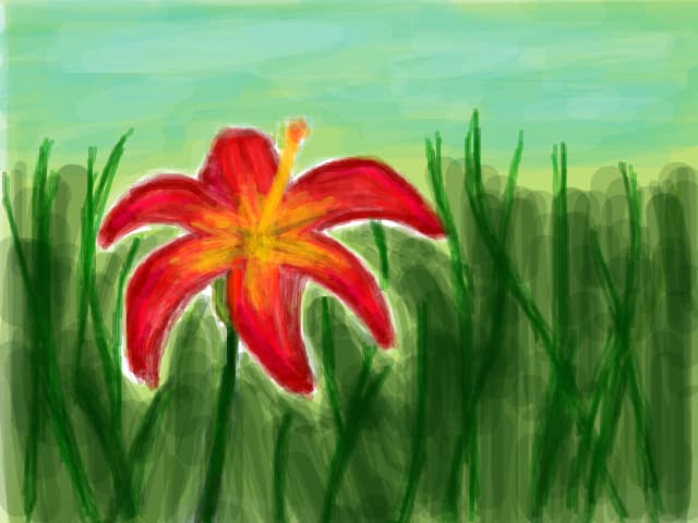 o floare