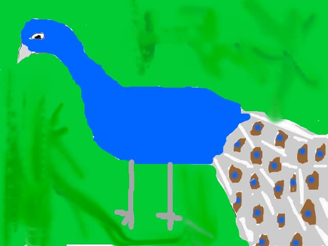 paun