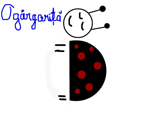 gargarita