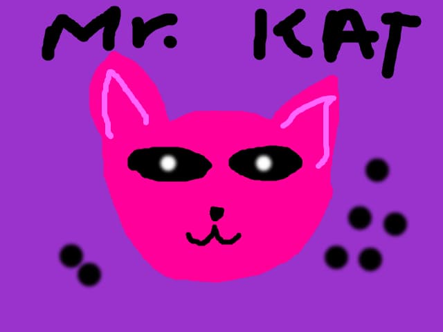 Mr kat