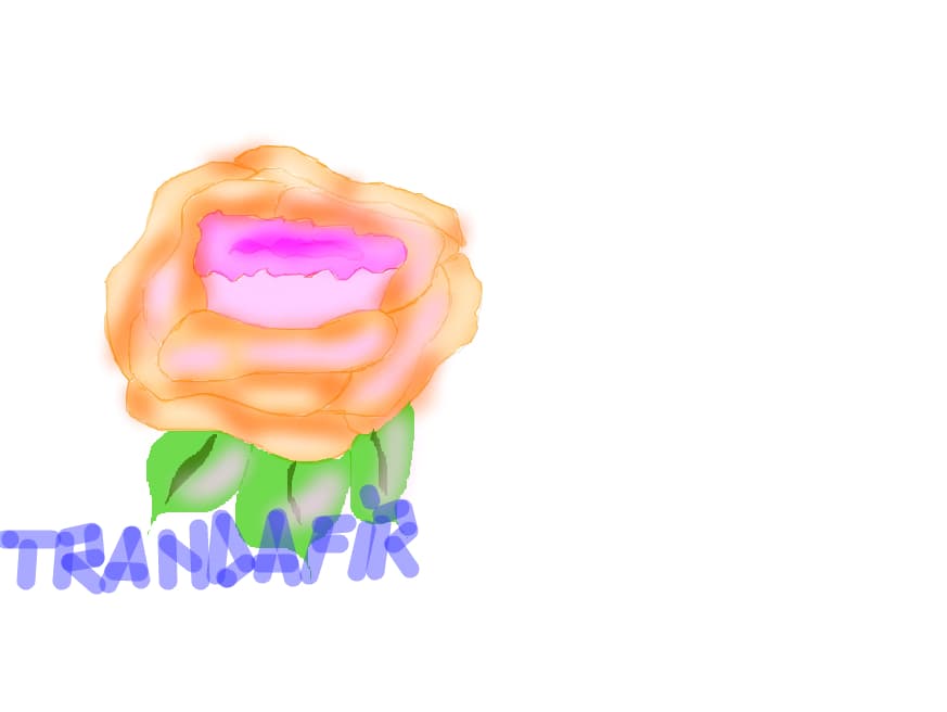 Trandafir