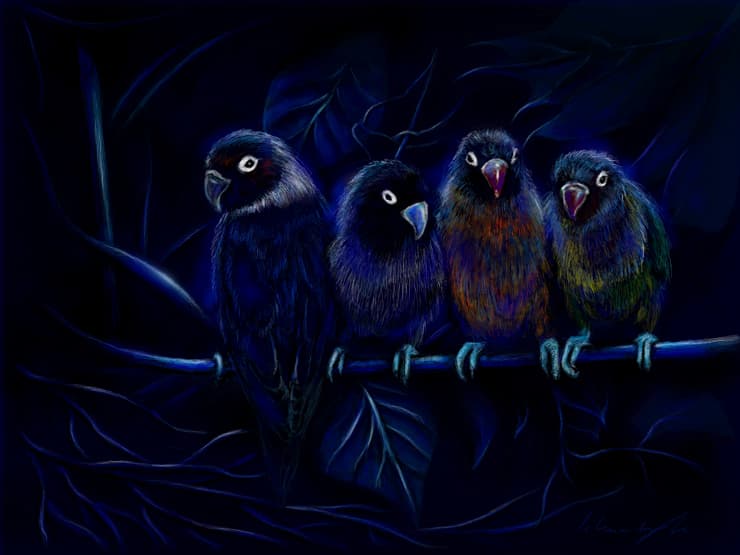 Seria I. PARROTS INVASION