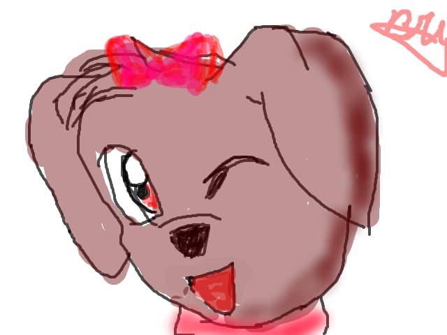 Cute Puppy