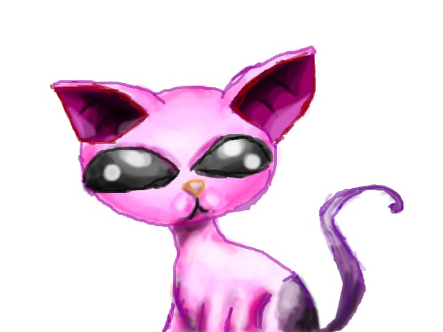 Mr. Kat