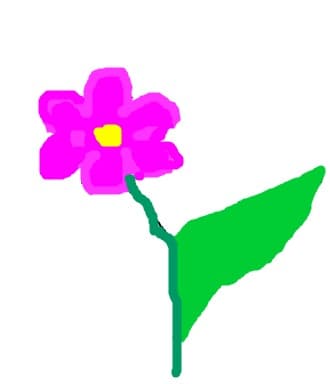 floricica