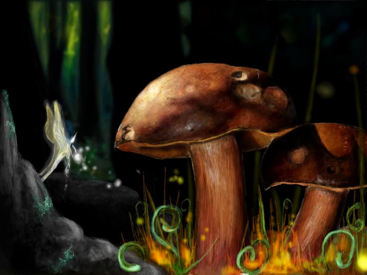 Seria II : Mushrooms invasion