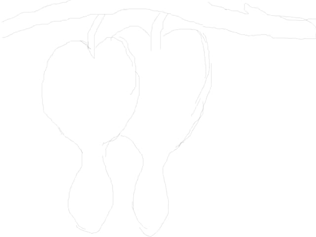 dsad