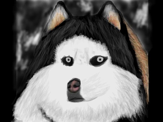 Husky...in special ptr \"talentoasele mele\"(Deea si Giorgy)