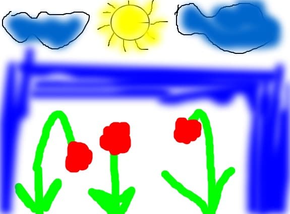 Flori