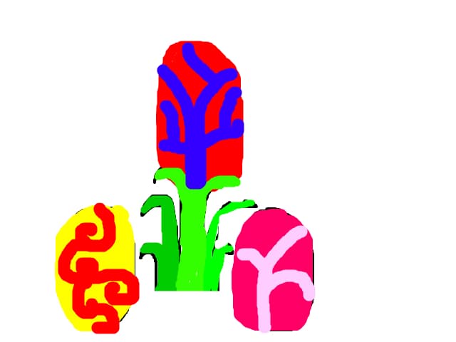 radica