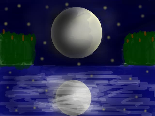 The moon