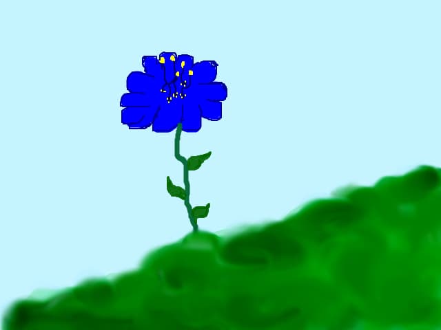 flower