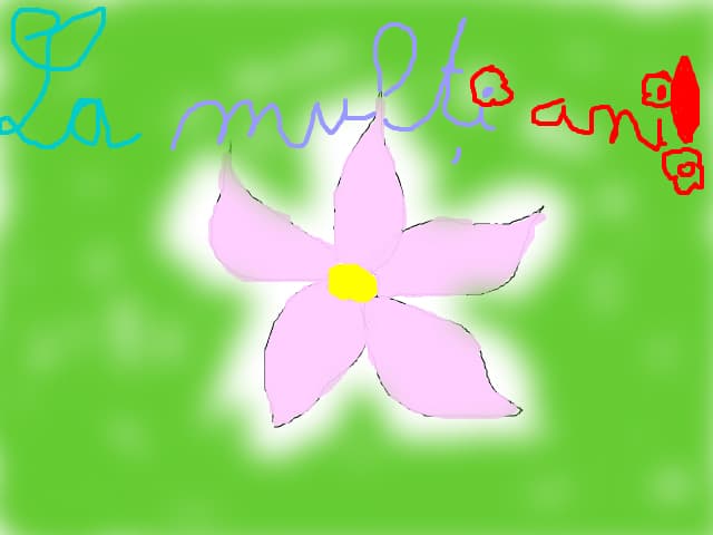 o floare