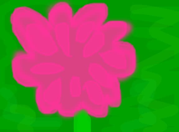 floare-stea