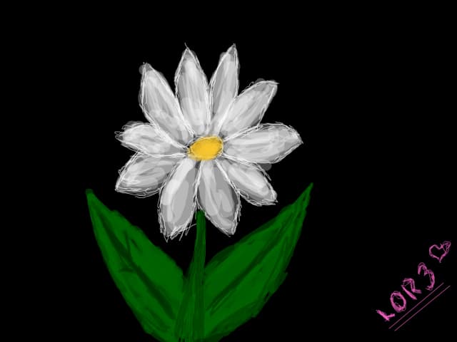 Floricica :) ce parere aveti ?