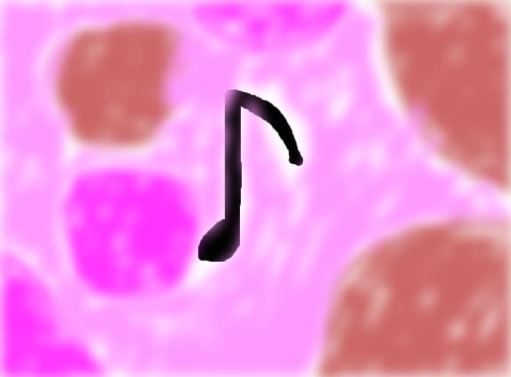 muzica