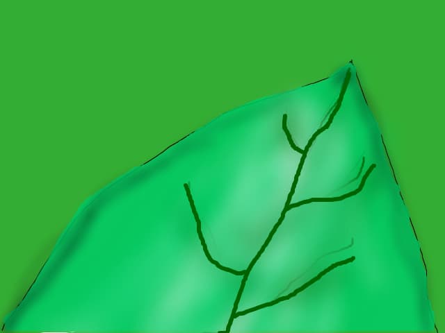 fruza