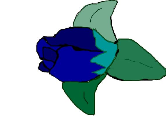trandafir