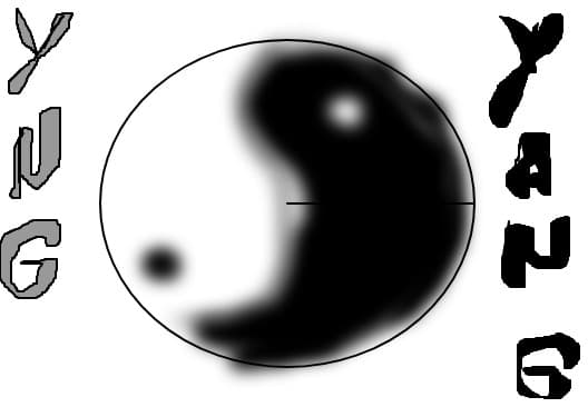 yng &amp;amp;amp;amp;amp;amp;amp; yang
