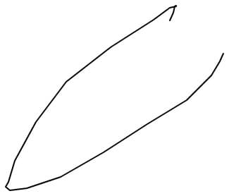 nn