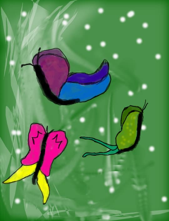 3 fluturasi