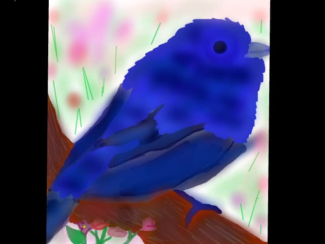 Swallow