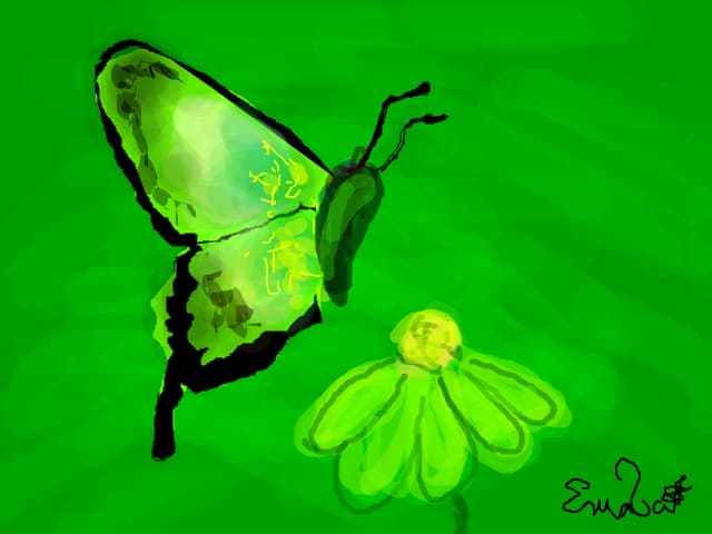 fluturas 4