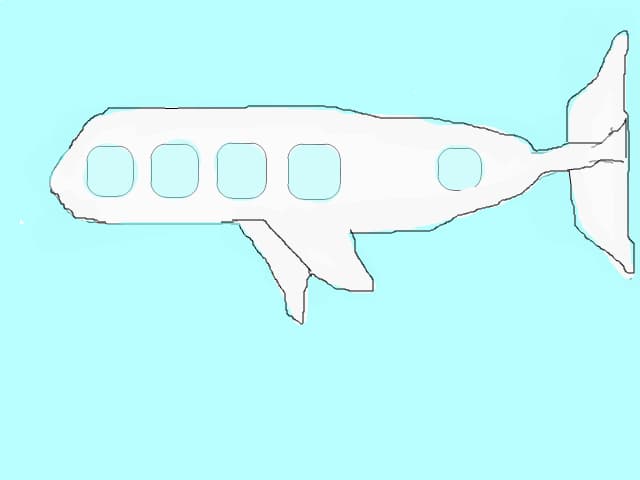avion