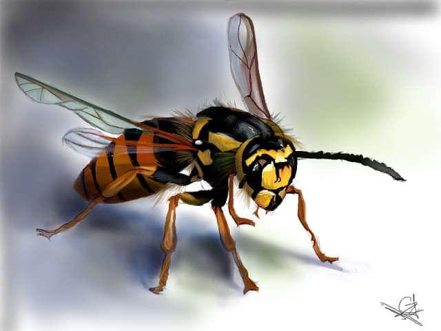 Busy Bee