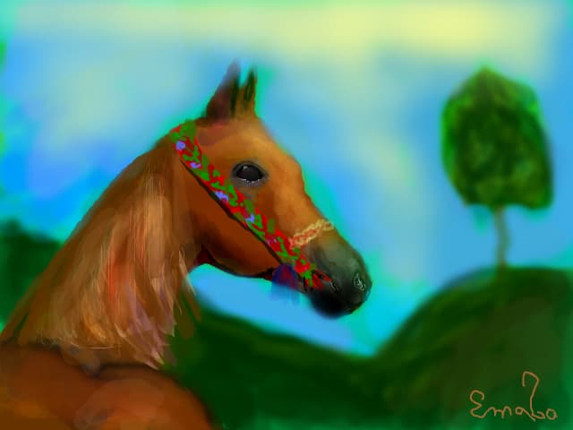 lost horse