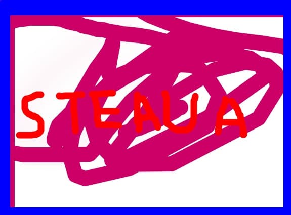 steaua