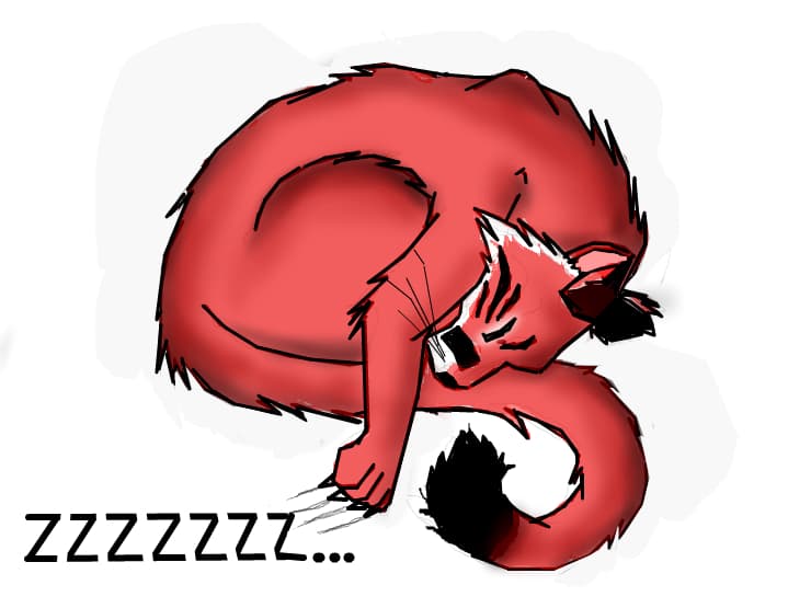 Kira    ZZZZZZZ!!!!