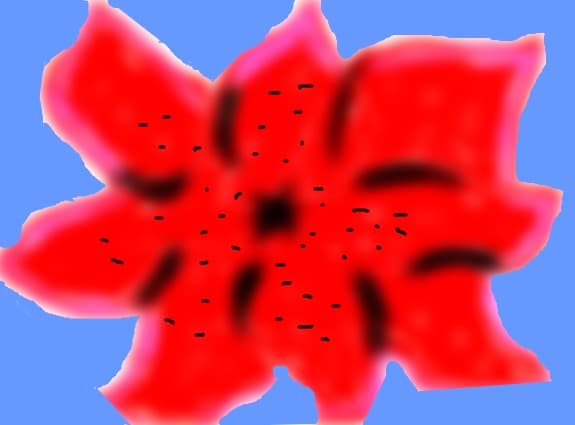 mac