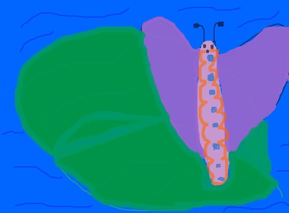 fluture