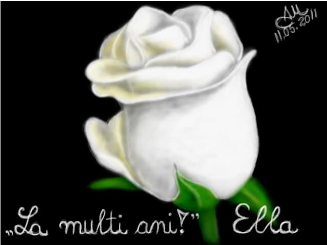 White Rose