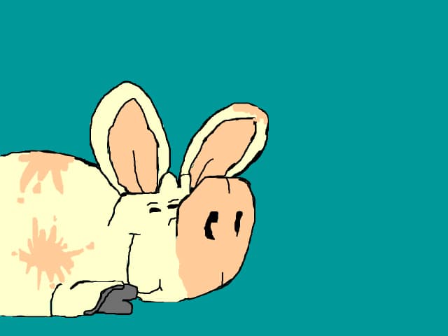PIG