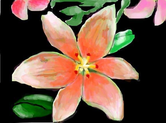Desen 16807 modificat:crin