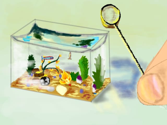 Cel mai mic acvariu din lume(http://www.google.co.uk/imgres?imgurl=http://www.devicenation.com/wp-co