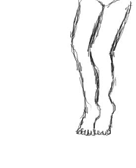 legs