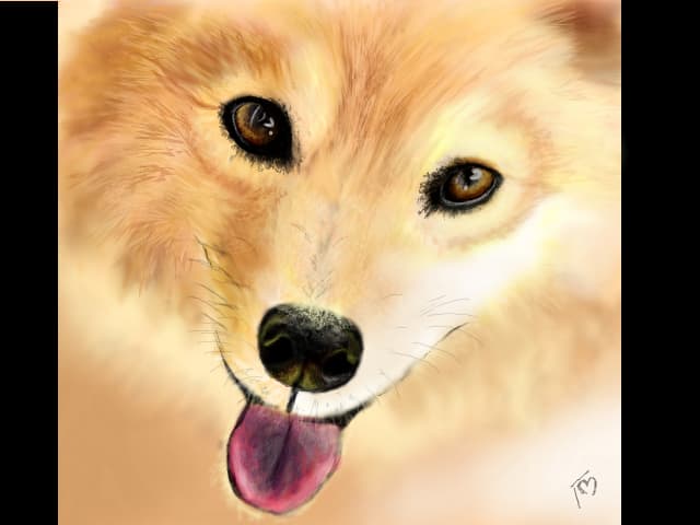 Cutzu:X