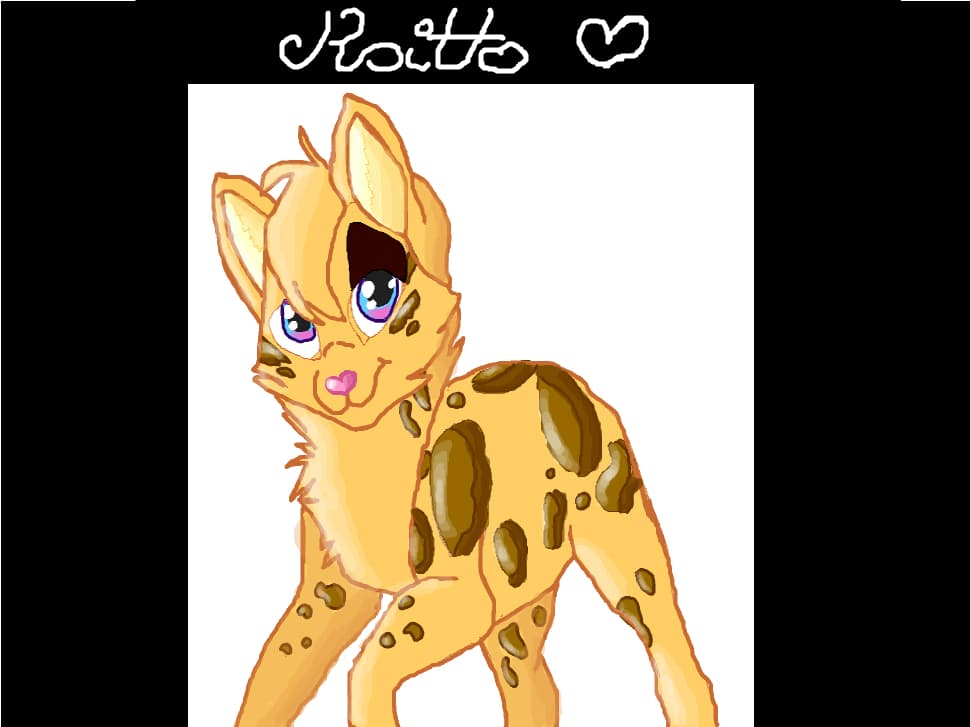 Kaitto