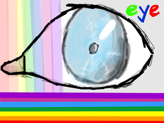 eye