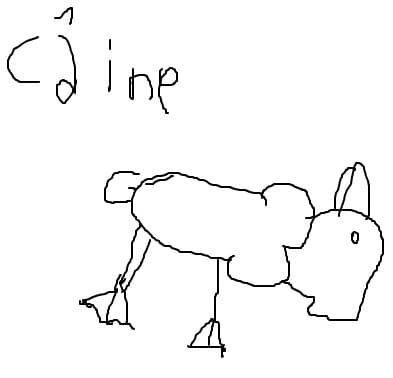 Catelus