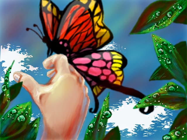 Butterfly  :3