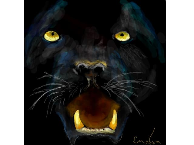 Black Jaguar