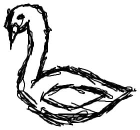 swan ..