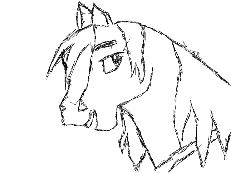 horsee .
