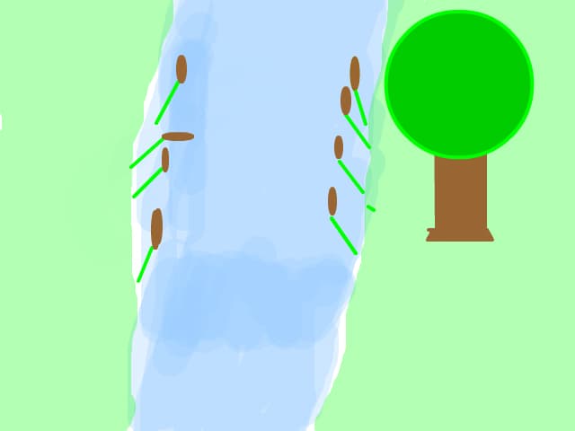 Rau