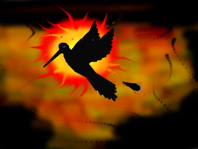 Hummingbird...