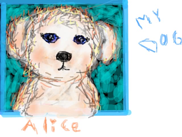 alice,catelusa mea
